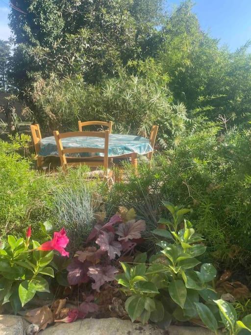 טרסקון Gite Mas Provencal מראה חיצוני תמונה