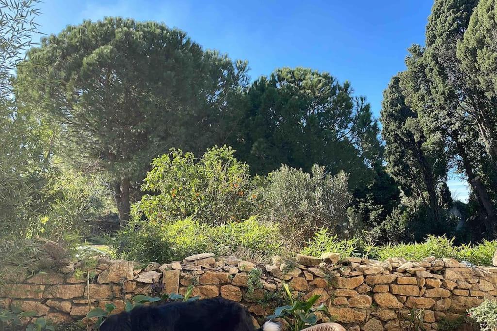 טרסקון Gite Mas Provencal מראה חיצוני תמונה